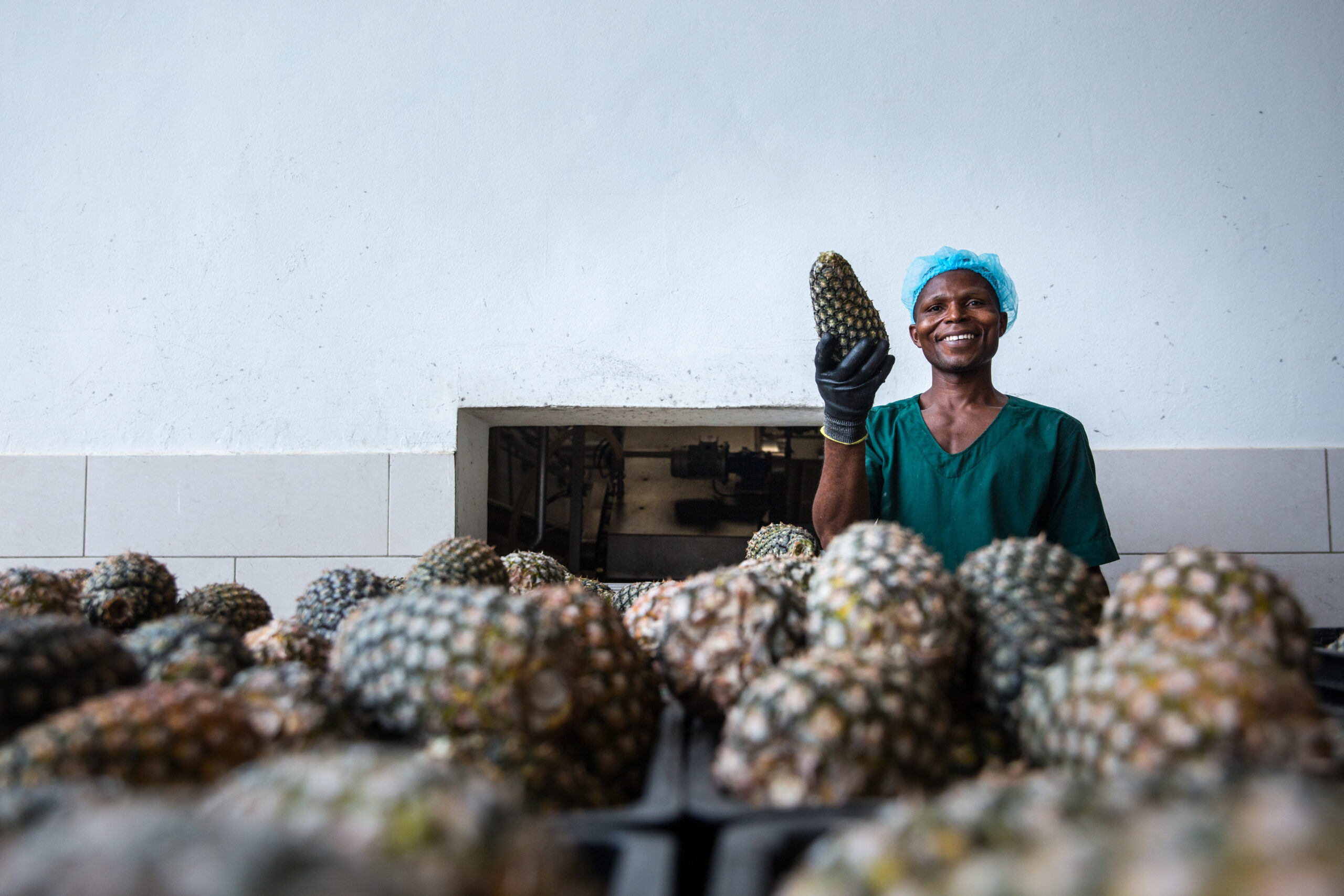 Woman holding a pineapple in a pineapple processing factory in Benin.