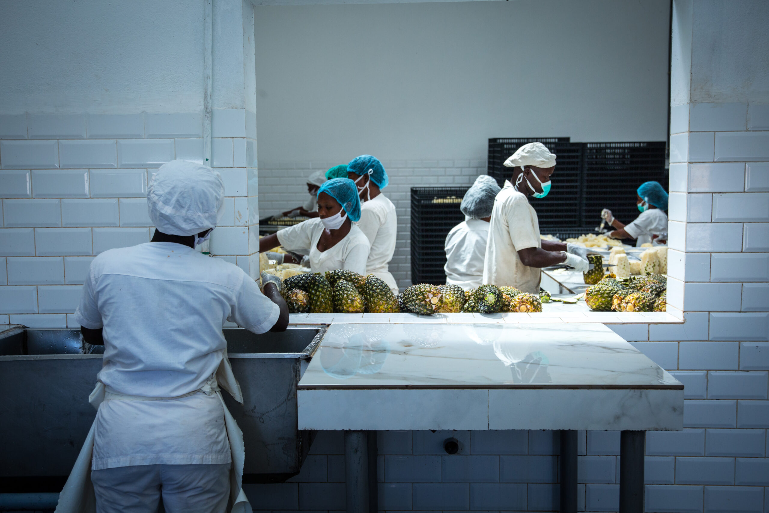 Women working in a pineapple processing factory in Benin