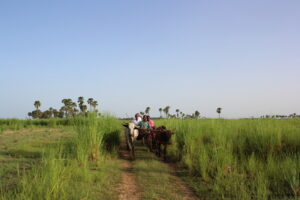 Healtworkers on their way to remote areas in Niger. 