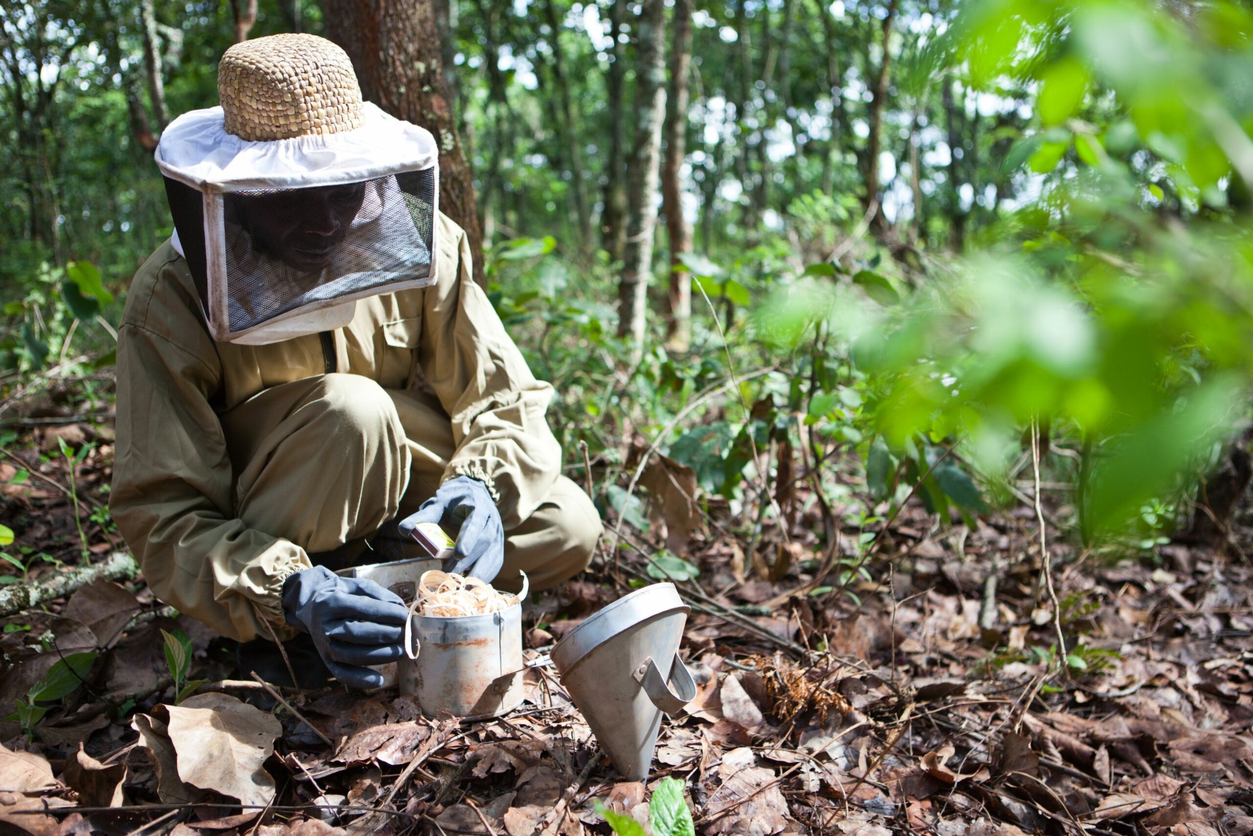 beekeeper in tanzania