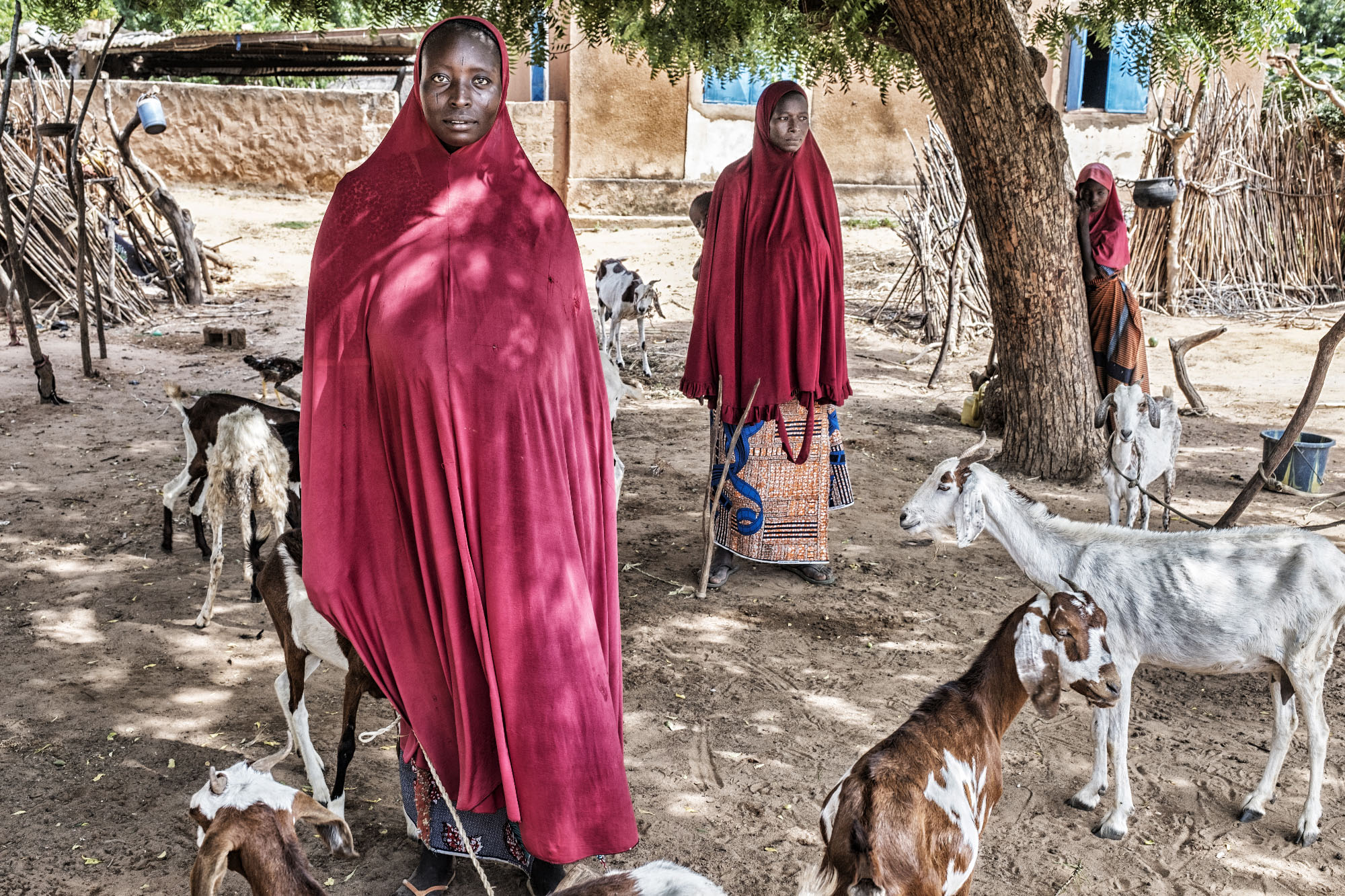 Two women look into the camera showing their garden in Niger. A girls hides behind a tree. Goats are running around the garden.