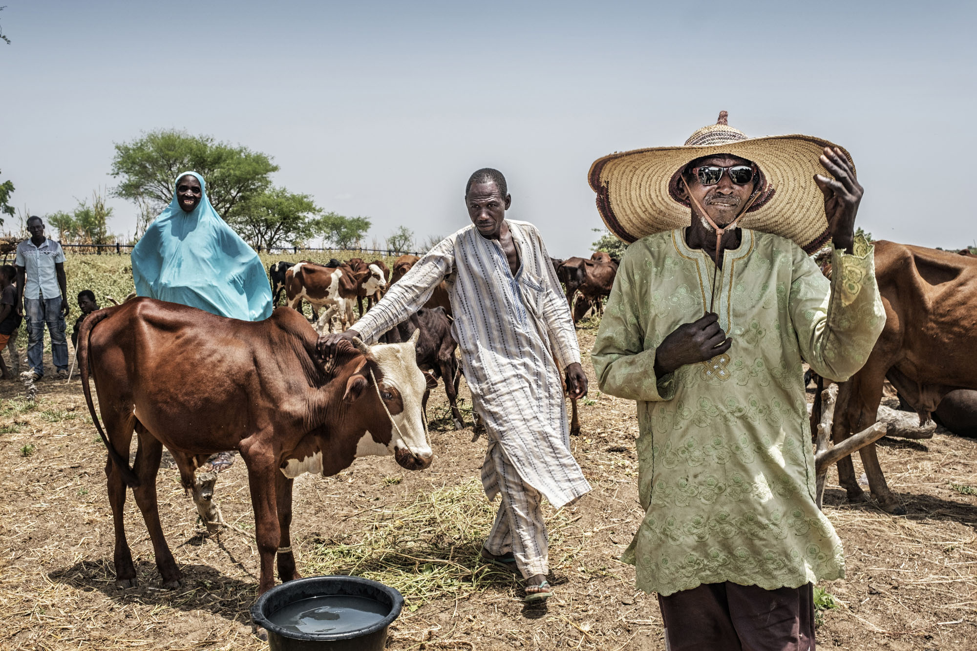 éleveurs de bétail au Niger