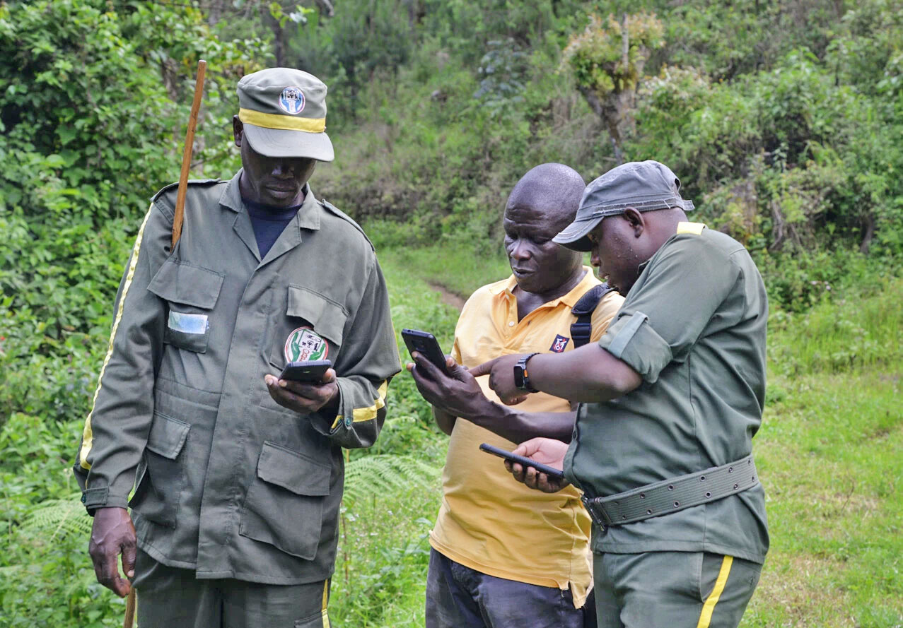 OBPE rangers interpreting ecological monitoring in Kibira National Park
