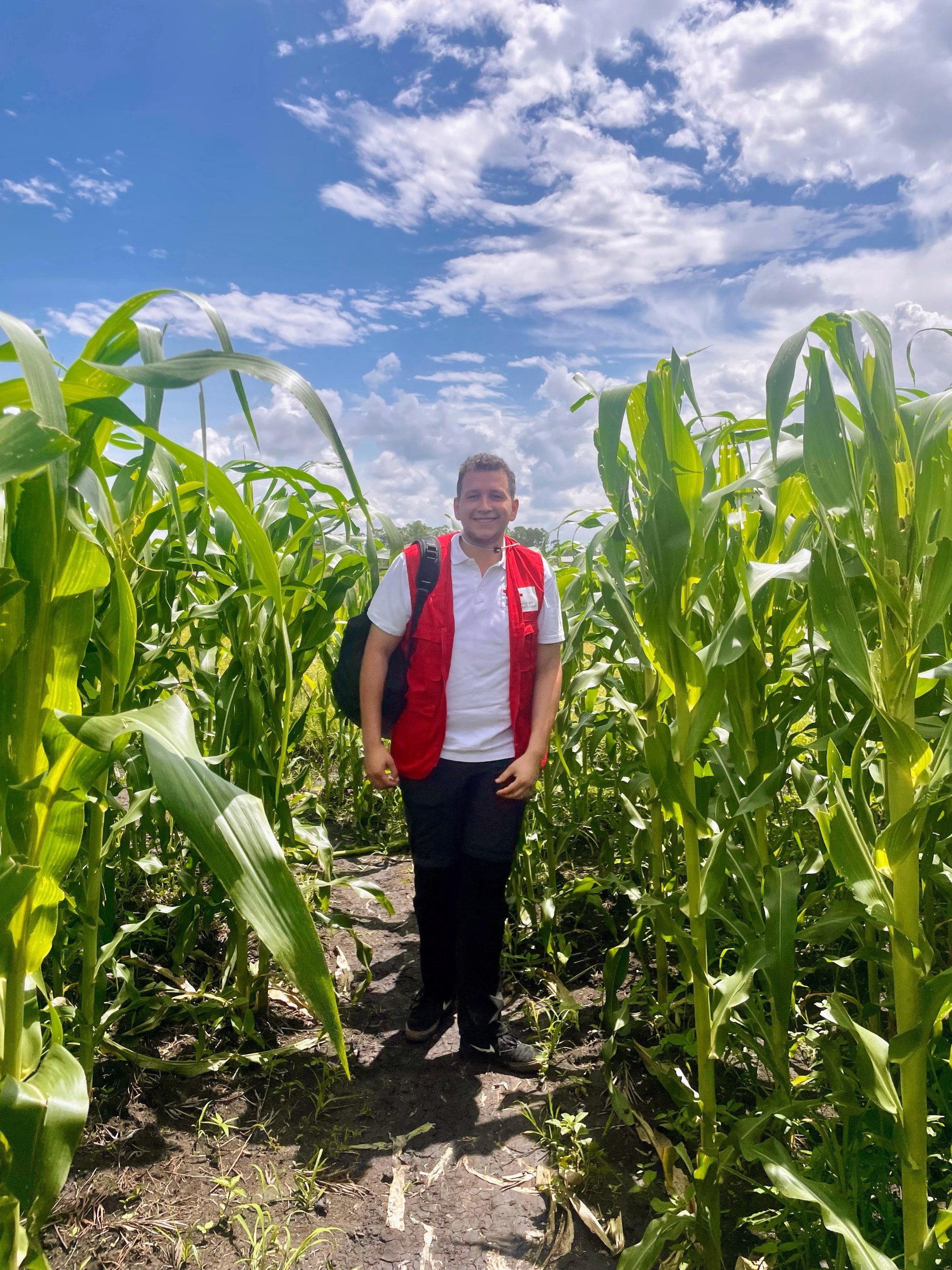 Picture of a men in a corn field.