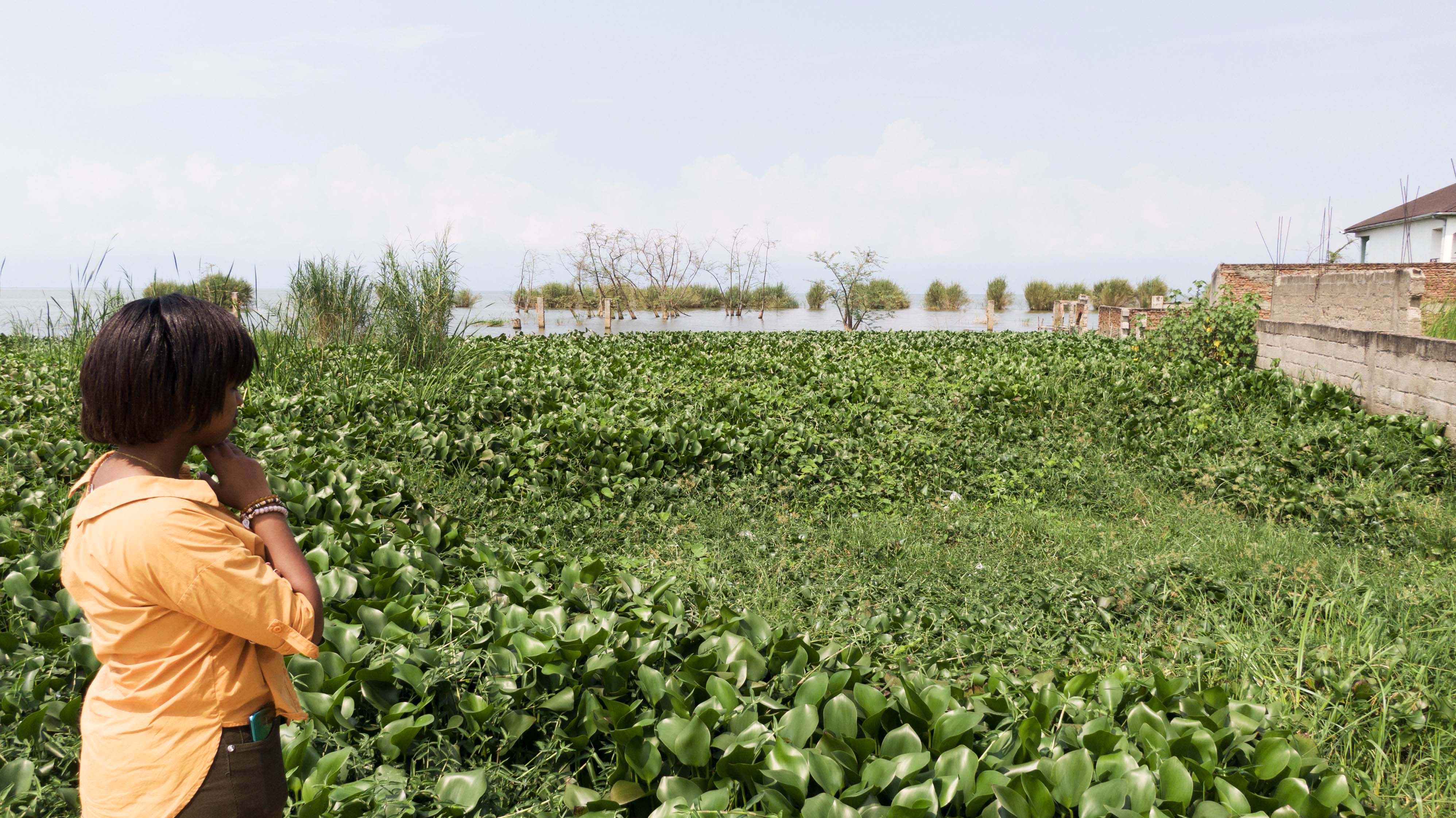 kathia standing in front of water hyacinth